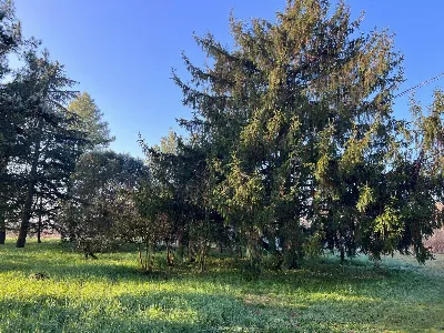 Villa in vendita a Ferrara, Ferrara Sud, F... - foto 8