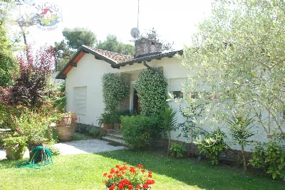 Villa in vendita a Pisa, Marina Di Pisa, T... - foto 3