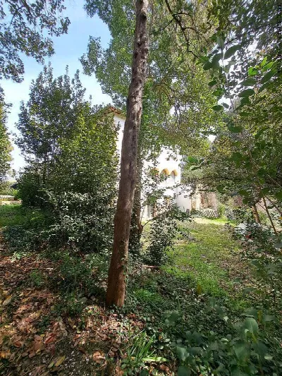Villa in vendita a Ascoli Piceno - foto 9