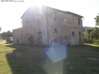 Rustico/Casale in vendita a Monsampolo del... - foto 3