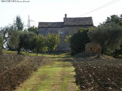 Rustico/Casale in vendita a Monsampolo del... - foto 4