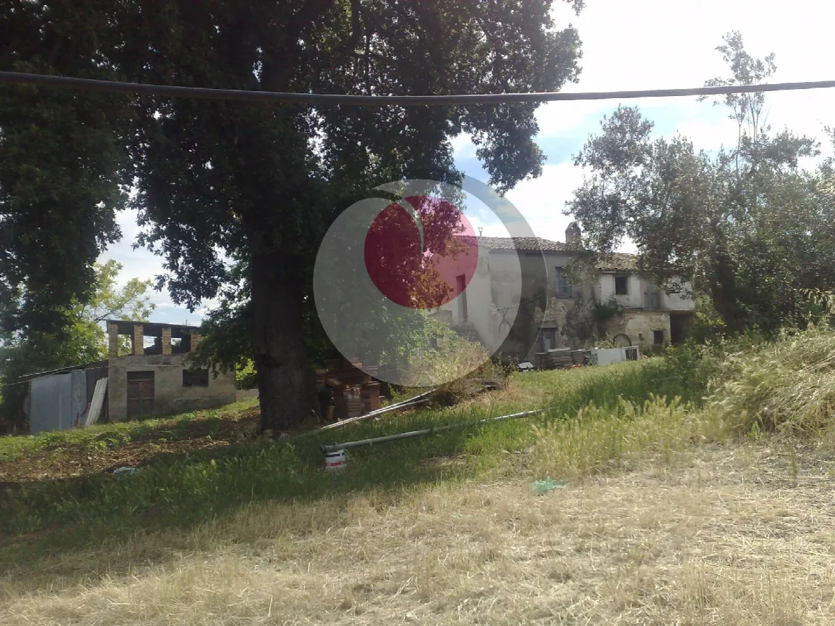 Rustico/Casale in vendita a Mozzagrogna - foto 2