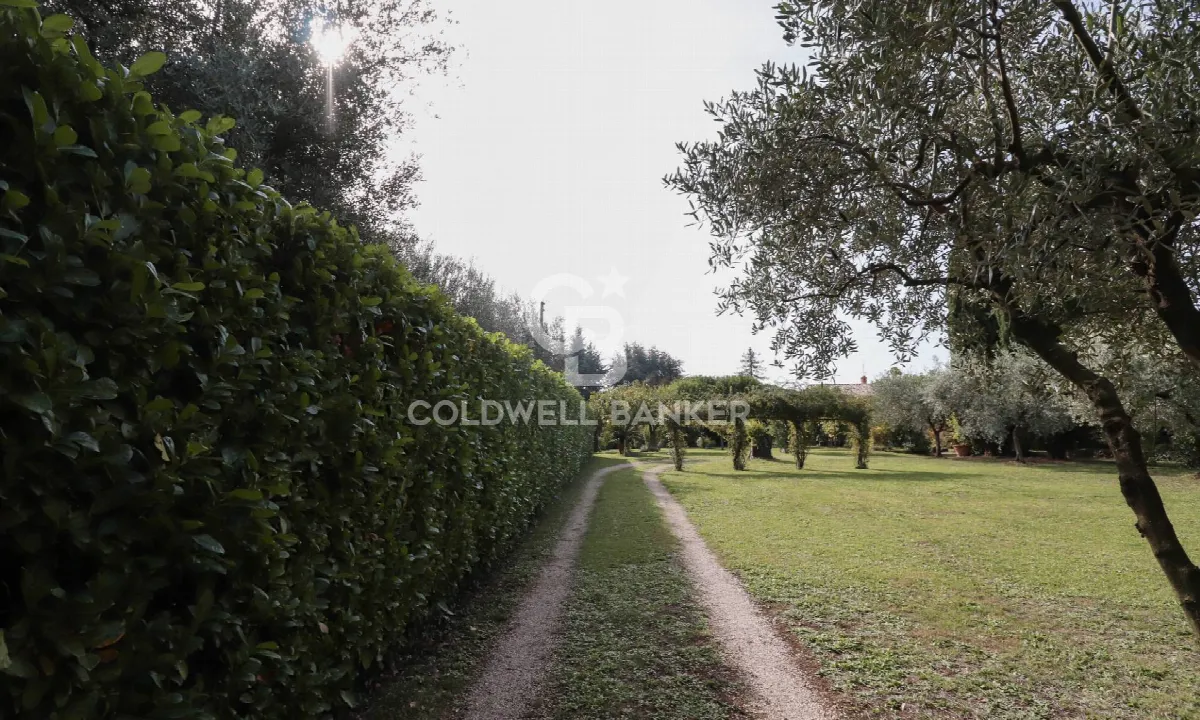 Villa in vendita a Velletri - foto 5