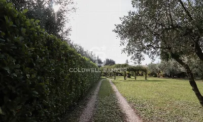 Villa in vendita a Velletri - foto 5