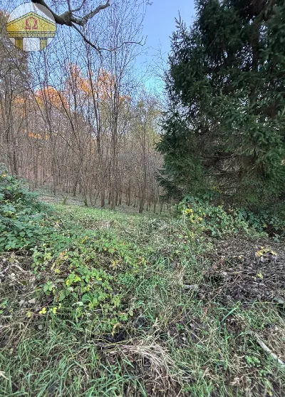 Rustico/Casale in vendita a Volpago del Mo... - foto 2
