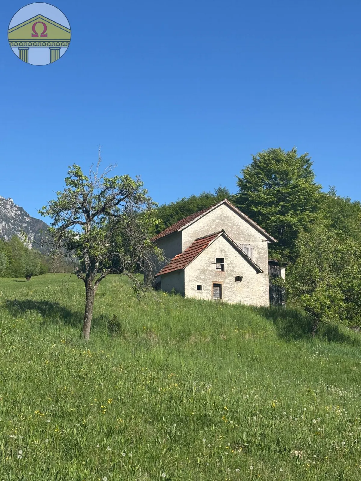 Rustico/Casale in vendita a Chies d'Alpago - foto 3