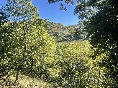 Rustico/Casale in vendita a Spoleto - foto 10