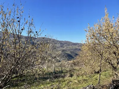 Rustico/Casale in vendita a Cerreto di Spo... - foto 7