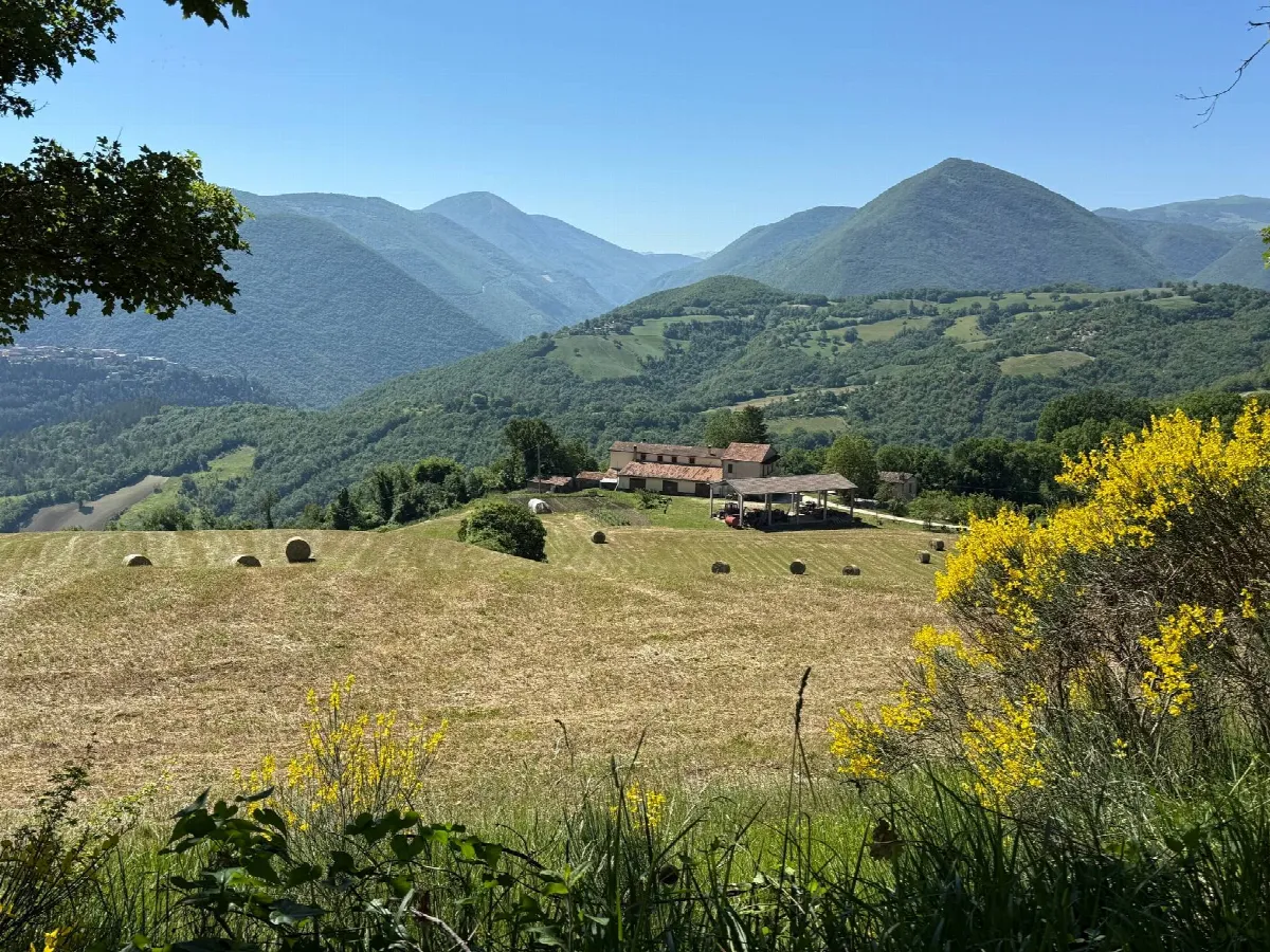 Rustico/Casale in vendita a Cerreto di Spoleto - foto 2