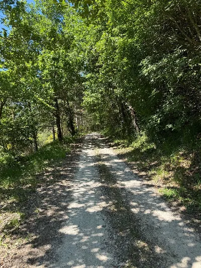 Rustico/Casale in vendita a Cerreto di Spo... - foto 5