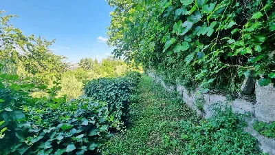 Casa Indipendente in vendita a Torella dei... - foto 8