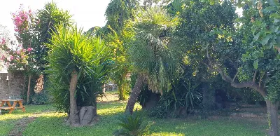 Villa in vendita a Colonnella - foto 6