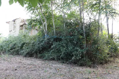 Rustico/Casale in vendita a Controguerra - foto 1