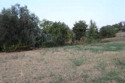 Rustico/Casale in vendita a Controguerra - foto 3