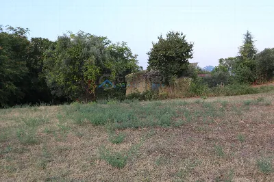 Rustico/Casale in vendita a Controguerra - foto 4
