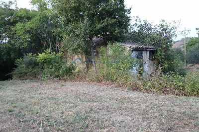 Rustico/Casale in vendita a Controguerra - foto 5