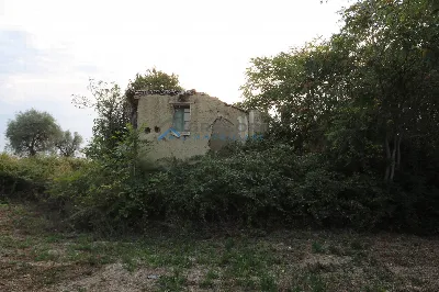 Rustico/Casale in vendita a Controguerra - foto 9