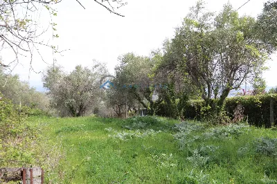 Villa in vendita a Controguerra - foto 10