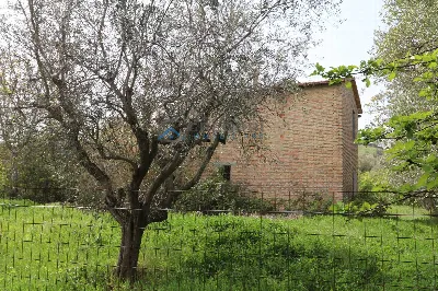 Villa in vendita a Controguerra - foto 4