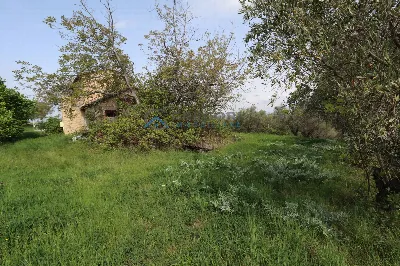 Villa in vendita a Controguerra - foto 7