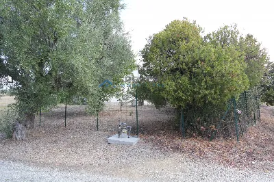 Villa in vendita a Controguerra - foto 2