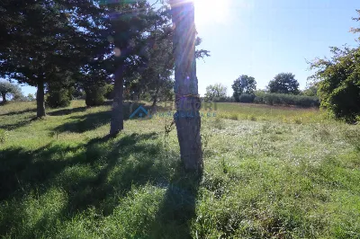 Villa in vendita a Corropoli - foto 6