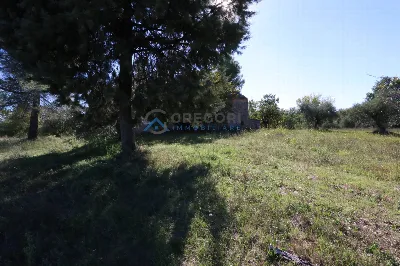 Villa in vendita a Corropoli - foto 7