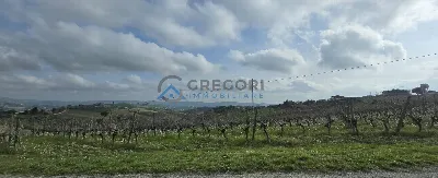 Rustico/Casale in vendita a Offida - foto 4