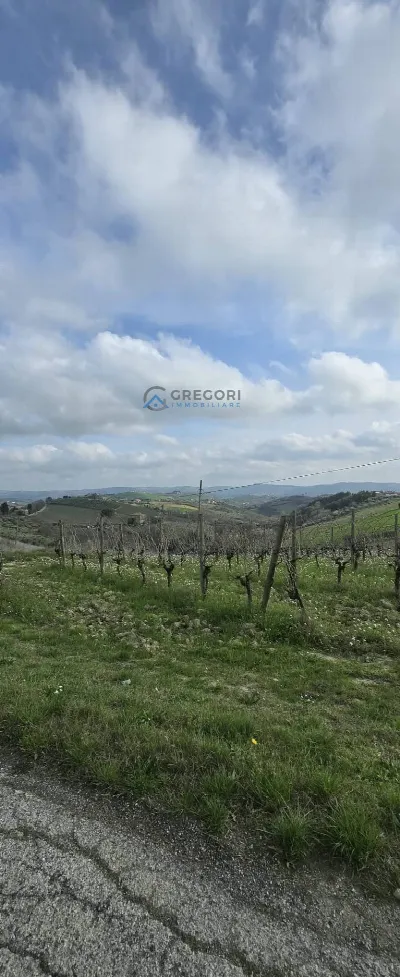 Rustico/Casale in vendita a Offida - foto 5