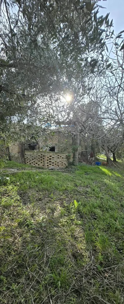 Rustico/Casale in vendita a Offida - foto 6