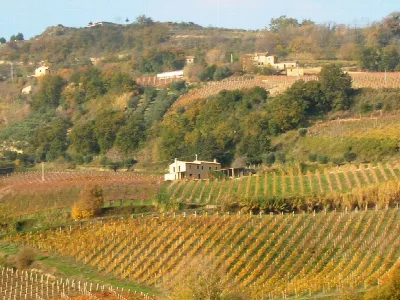 Rustico/Casale in vendita a Ripatransone - foto 2