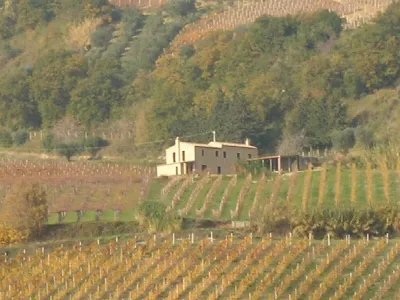 Rustico/Casale in vendita a Ripatransone - foto 3