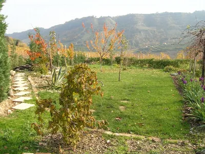 Rustico/Casale in vendita a Ripatransone - foto 8
