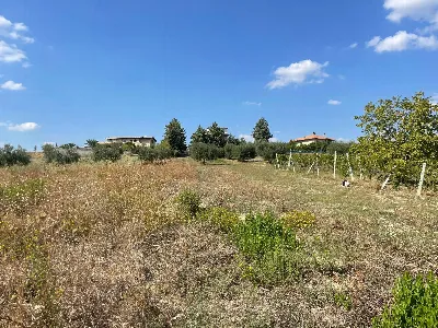 Rustico/Casale in vendita a Offida - foto 4