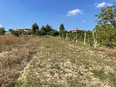 Rustico/Casale in vendita a Offida - foto 5