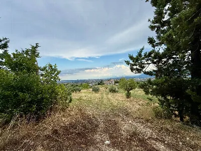 Rustico/Casale in vendita a Offida - foto 6