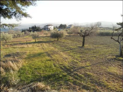 Rustico/Casale in vendita a Offida - foto 7