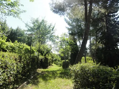 Rustico/Casale in vendita a Cossignano - foto 10