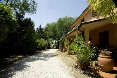 Rustico/Casale in vendita a Cossignano - foto 2