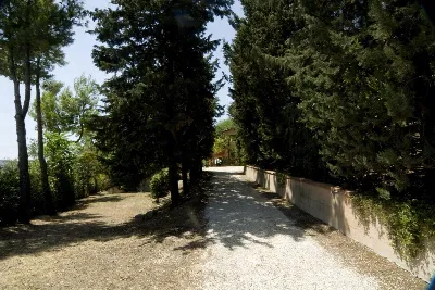 Rustico/Casale in vendita a Cossignano - foto 3