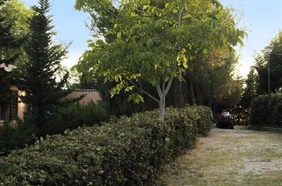 Rustico/Casale in vendita a Cossignano - foto 4