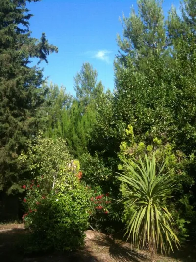 Rustico/Casale in vendita a Cossignano - foto 9