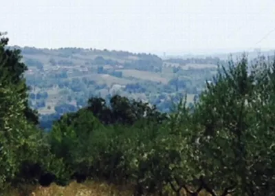 Rustico/Casale in vendita a Camerano - foto 6