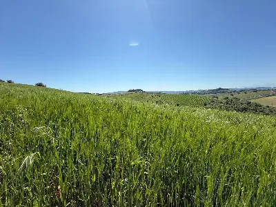 Rustico/Casale in vendita a Monteprandone - foto 5