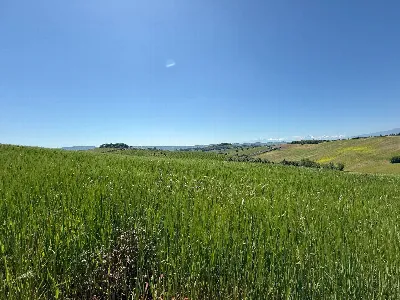 Rustico/Casale in vendita a Monteprandone - foto 6