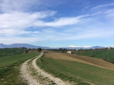 Rustico/Casale in vendita a Monteprandone - foto 8