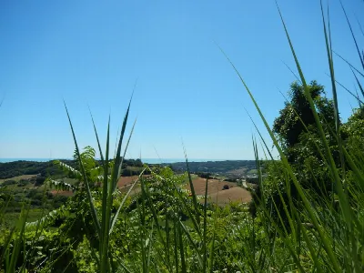 Rustico/Casale in vendita ad Altidona - foto 10