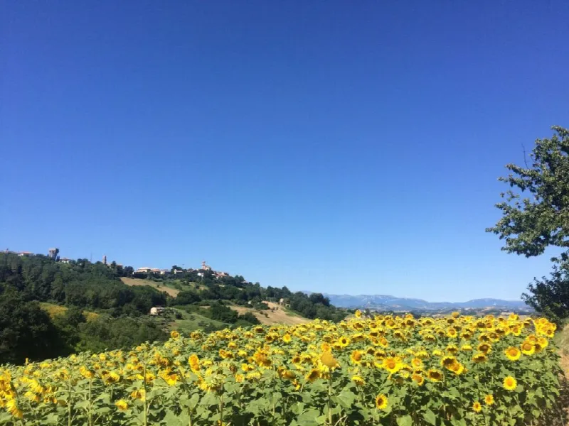 Rustico/Casale in vendita a Montelparo - foto 1