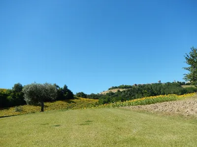 Rustico/Casale in vendita a Montelparo - foto 10