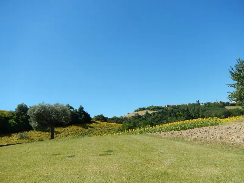 Rustico/Casale in vendita a Montelparo - foto 10